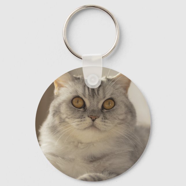 Cat, British short hair, Feline Key Ring (Front)