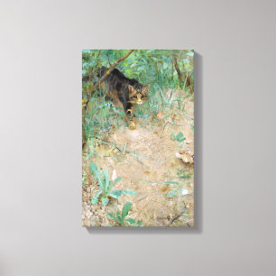 Cat, Bruno Liljefors Canvas Print