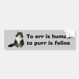 Cat Bumper Sticker