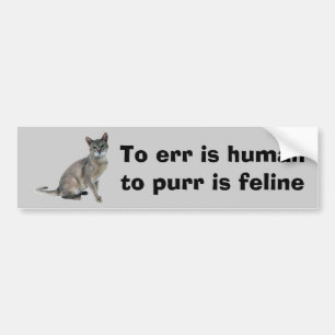 Cat Bumper Sticker