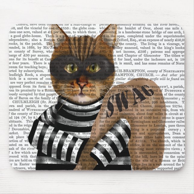 Cat Burglar Mouse Pad (Front)