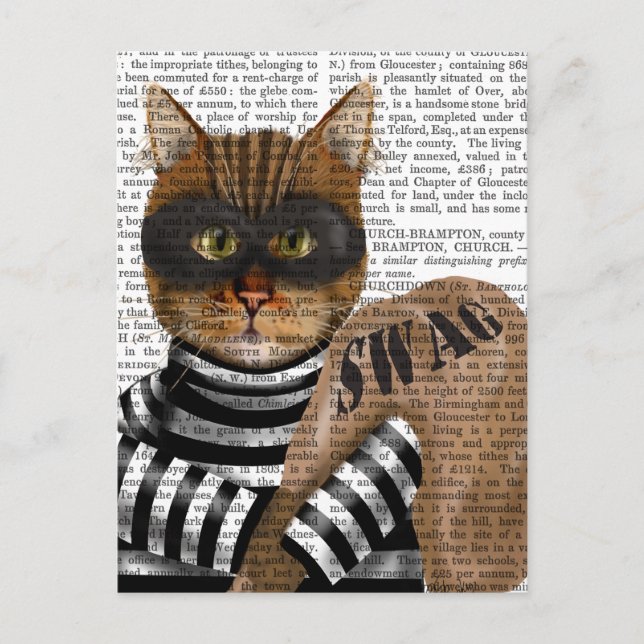 Cat Burglar Postcard (Front)