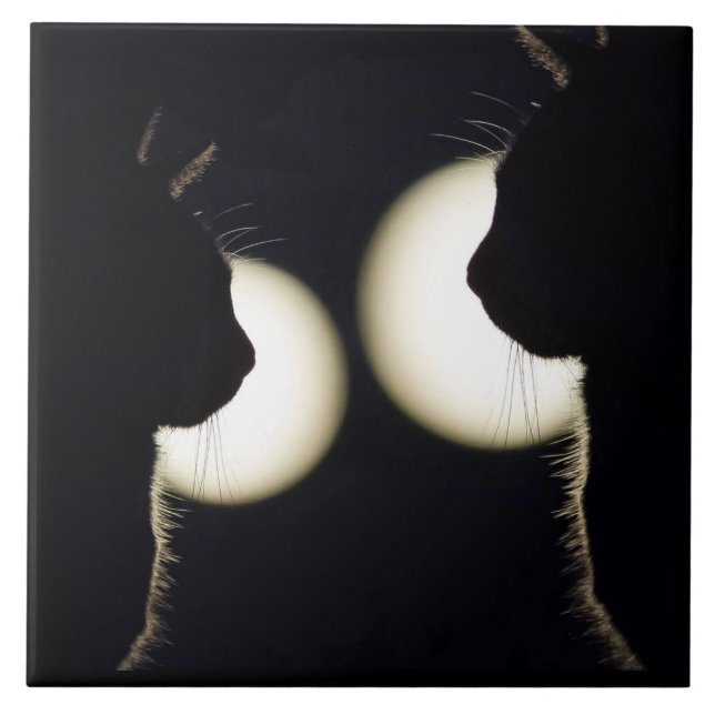 Cat Burglars Spotted Tile (Front)