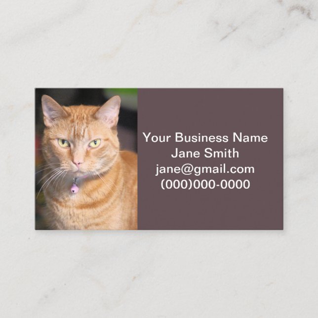 Cat Business Card (Front)