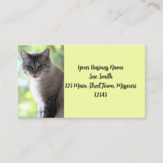 Cat Business Card