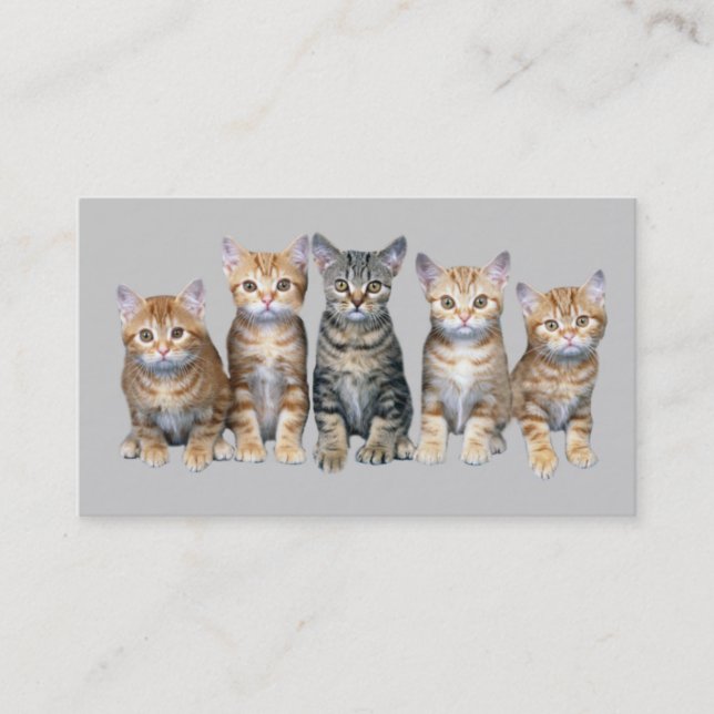 Cat Business Card (Front)