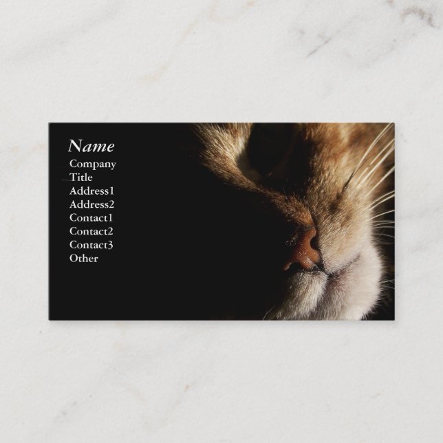 Cat - Business cards (Front)