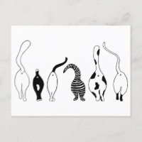Cat Butts