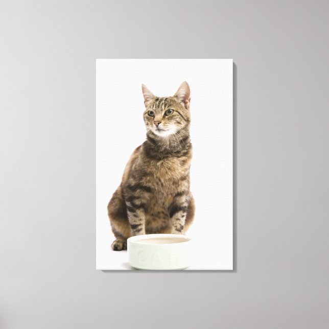 Cat by bowl canvas print (Front)