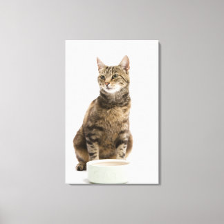 Cat by bowl canvas print