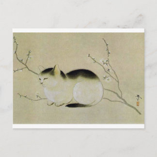Cat by Hishida Shunso Postcard