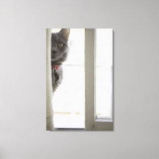 Cat by window canvas print