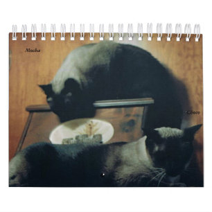 Cat Calendar
