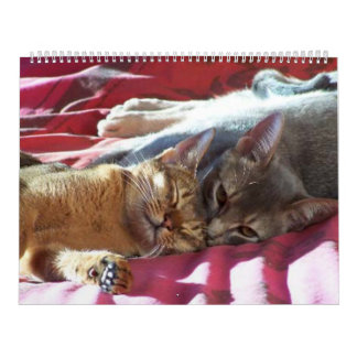 Cat Calendar