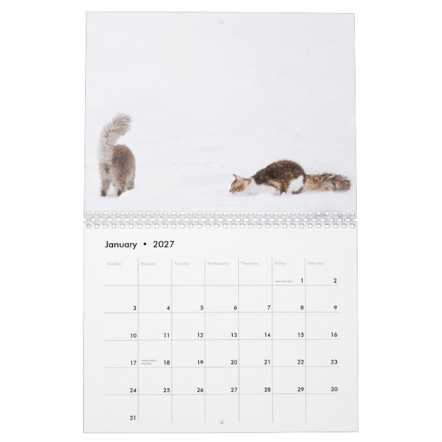 Cat Calendar 2012 (Jan 2027)