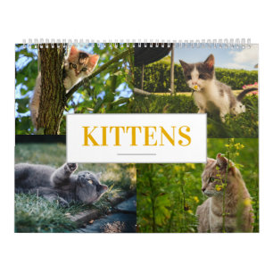 Cat Calendar Feline Calendar Home Wall a