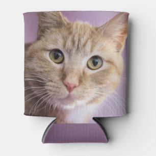 Cat Can Cooler
