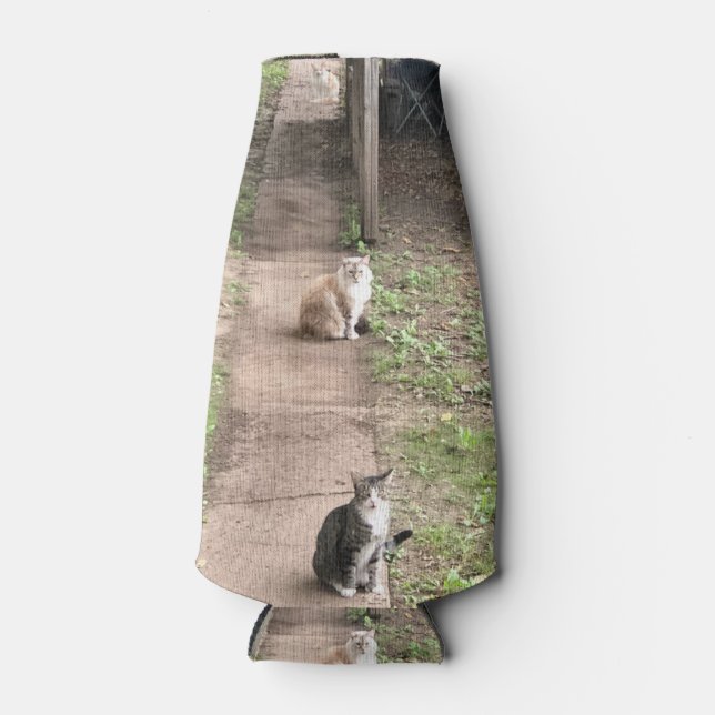 Cat Can Cooler (Front)
