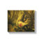 Cat Canvas Print