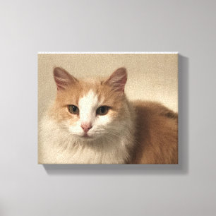 Cat Canvas Print