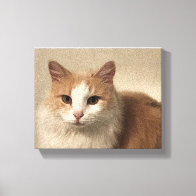 Cat Canvas Print (Front)