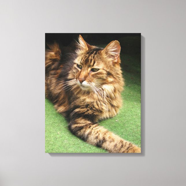 Cat Canvas Print (Front)