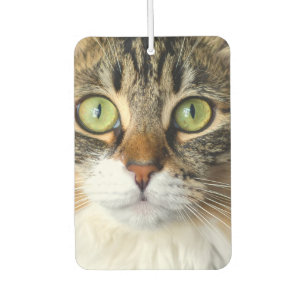 Cat Car Air Freshener