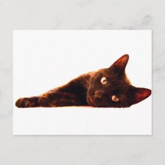 Cat Card