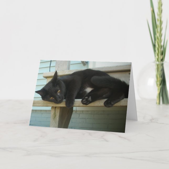 Cat Card (Front)