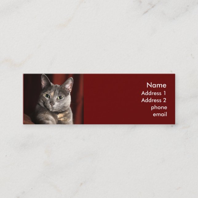 Cat card (Front)