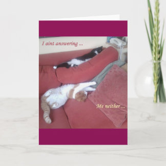 Cat Card 2 fun photo / text plus back abstract art