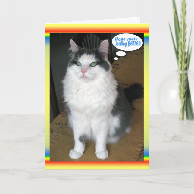 Cat Cards,Funny Get well Card (Front)