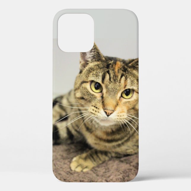 Cat Case-Mate iPhone Case (Back)