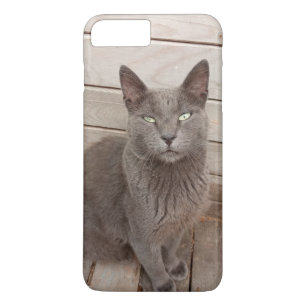 Cat Case-Mate iPhone Case