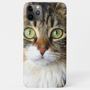 Cat Case-Mate iPhone Case