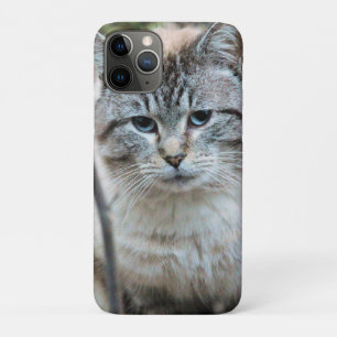Cat Case-Mate iPhone Case