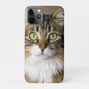 Cat Case-Mate iPhone Case