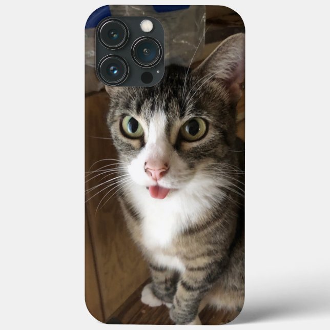 Cat Case-Mate iPhone Case (Back)