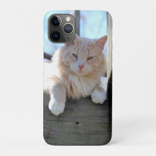 Cat Case-Mate iPhone Case