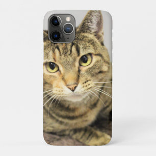 Cat Case-Mate iPhone Case