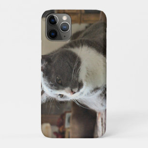 Cat Case-Mate iPhone Case