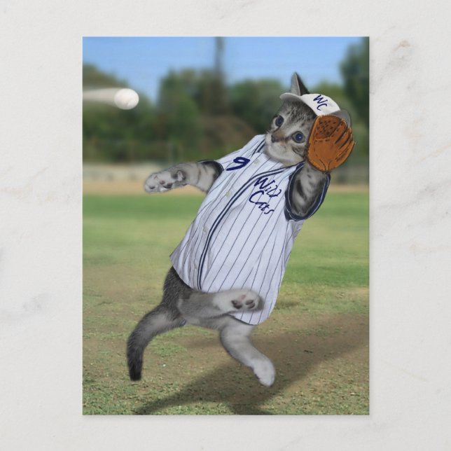 Cat Catcher in the Outfield! Postcard (Front)