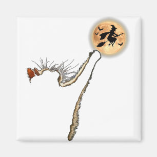 Cat Catching The Moon Funny Men Women Halloween Co Magnet