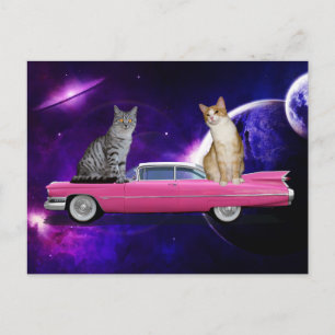 CAT CATS IN SPACE ON A PINK CADDY POSTCARD