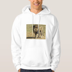 Cat Cats wild stripe print diy Anniversaries Hoodie