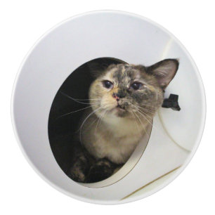 Cat ceramic knob