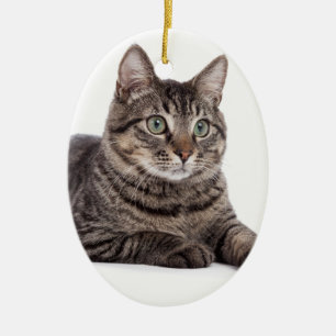 Cat Ceramic Tree Decoration