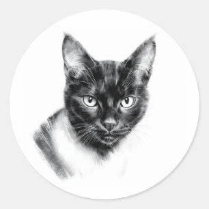 Cat Charcoal Classic Round Sticker