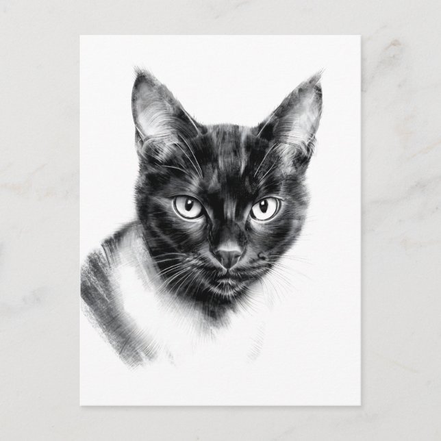 Cat Charcoal Postcard (Front)