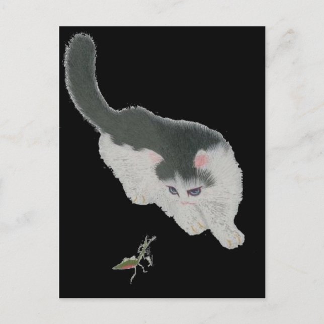 Cat Chasing Cricket Postcard (Front)